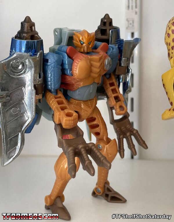 Beast Wars Fox Kids Repaints   TFShelfShotSaturday  (2 of 11)